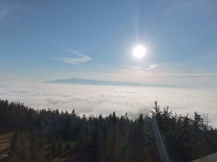 Noclegi u Lidii Ochotnica Górna Zewnętrze zdjęcie